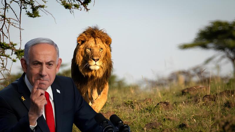 Operation Rising Lion as an attempt to Enforce ‘The Law of the Jungle’ in International Relations