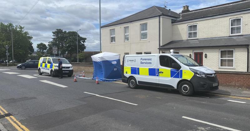 Man 'woken by screams' after early morning town attack