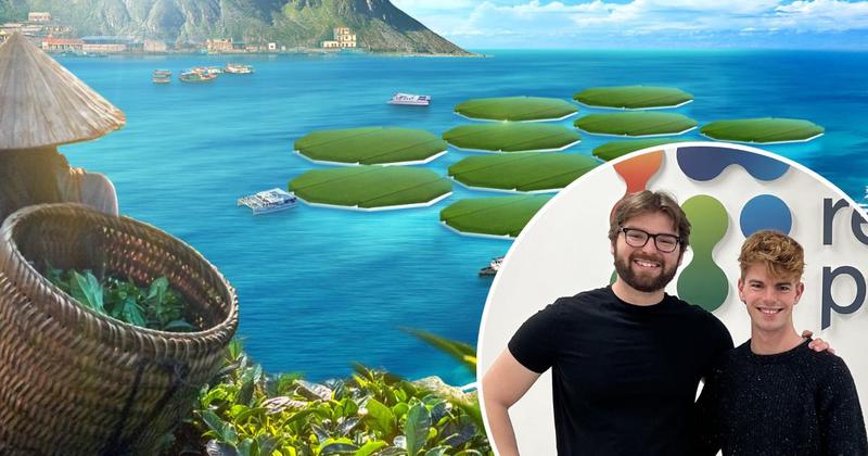 Scientists growing RICE on the ocean to begin trial at Norfolk farm in 'UK first'