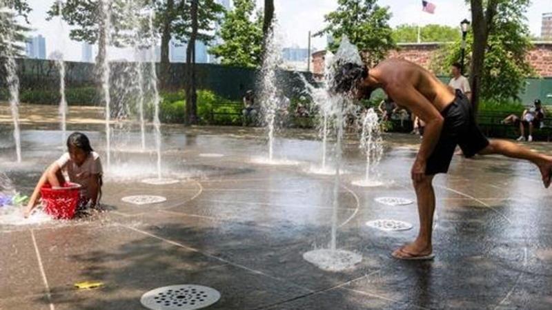 Weather Bee: First half of 2025 likely to breach 1.5°C warming threshold