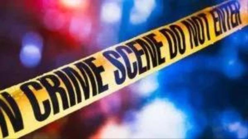 12 killed in attack on celebration in Mexico's Guanajuato state