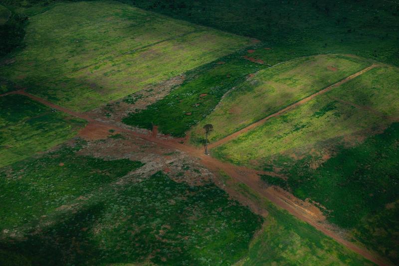 Ajuste fiscal e agenda ambiental: tudo a ver