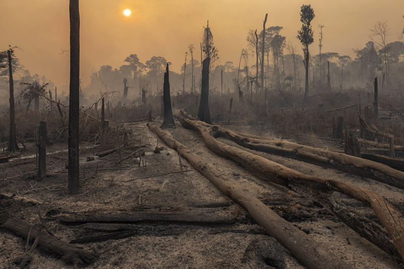 Mudança climática e diplomacia científica: uma resposta coletiva da América Latina