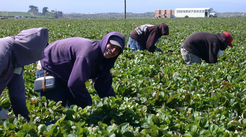 Immigrants Are A Boon To Society – OpEd