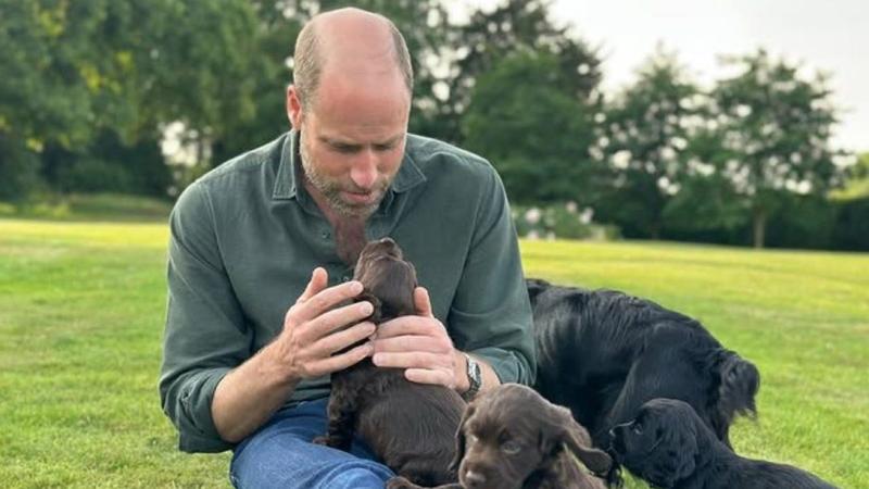 Peta has gone too far with its royal stunt – and lost my support