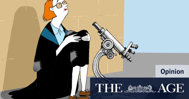 ‘A kind of monster’: Why does everyone hate universities?