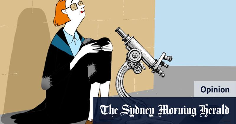 ‘A kind of monster’: Why does everyone hate universities?
