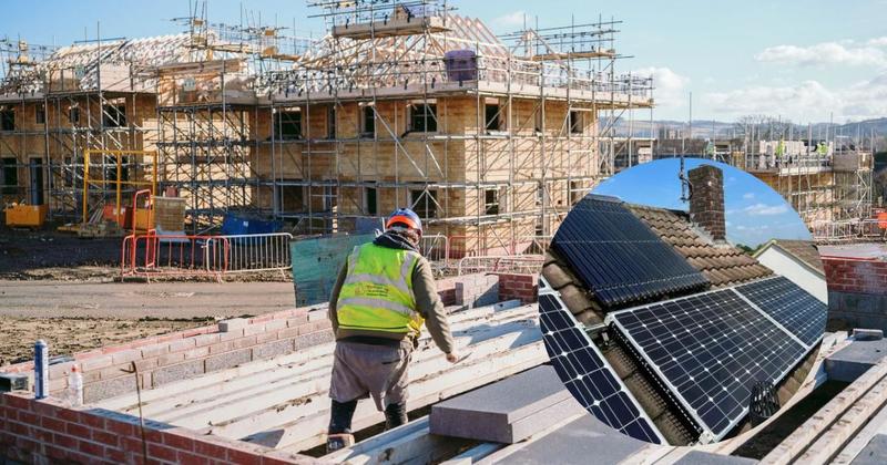 Solar panel firm warns industry is 'rife with cowboys'