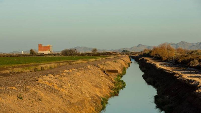 Who knew? Maybe Arizona can build homes and save water