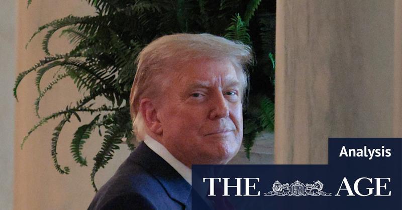 The best week of Donald Trump’s second presidency just got even better