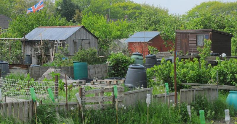 City allotment holders complain about 'well above inflation' rent hike