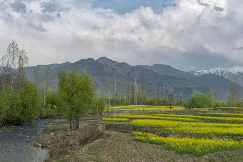 How People Lose Land in Kashmir Without Even Knowing It