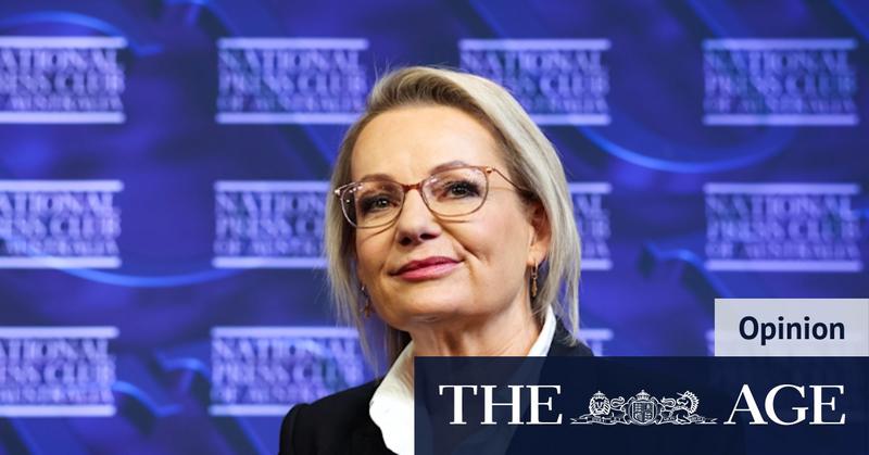It’s time, Sussan Ley: What Gough Whitlam can teach her about saving a lost party