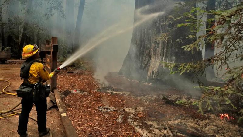 Firefighting Foams Contain Toxic Chemicals. Why Not Switch to Soybeans?