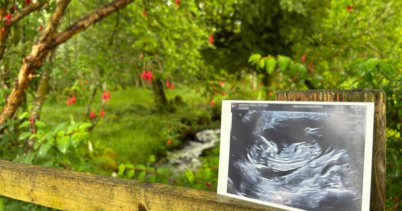 I've got big news to share - life will never be the same again on my Scottish island I found out I was pregnant on a chilly February afternoon. We’d come back from the mainland two days before, and I found myself curled up in bed at 3pm with an exhaustion that felt like I’d been hit by a truck.