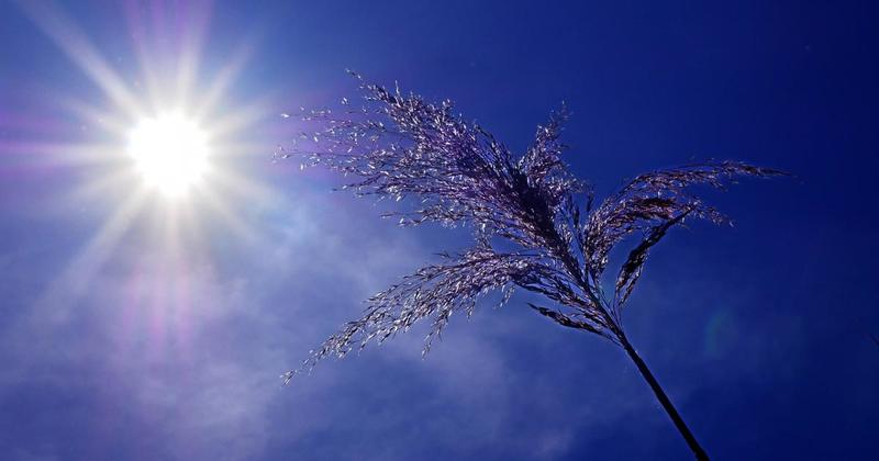 Met Office forecast heatwave for Norwich with temperatures to peak at 30C