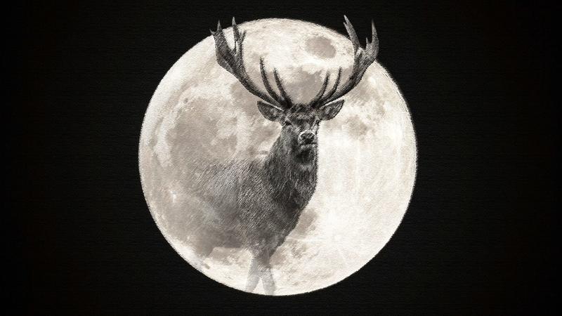 Full moon July 2025: Why is it called the ‘Buck Moon’ and when is the best time to see it?