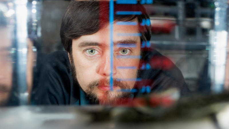 The Frontier Research Of Michael Levin’s Biology Lab – OpEd