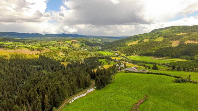 Dør bygda, dør Norge