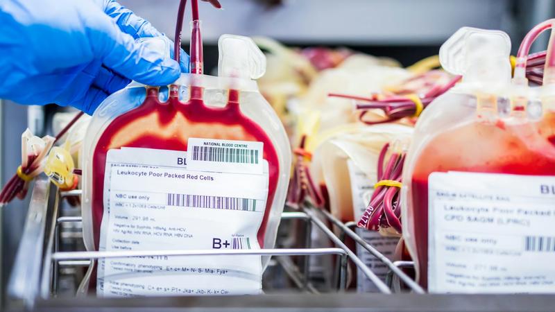 Gwada-negative : the rarest blood group on Earth