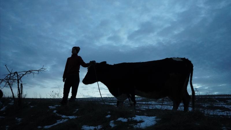 Sound recordings can give us an animals’ eye view of the war in Ukraine