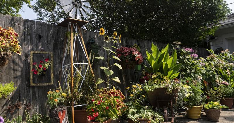 Another Voice: Buffalo's gardens vibrantly express a community's soul