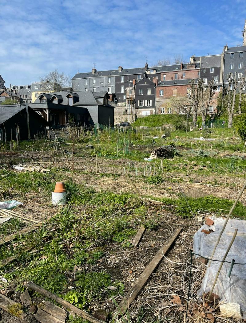 Comment redonner une nouvelle vie aux friches industrielles en ville ?