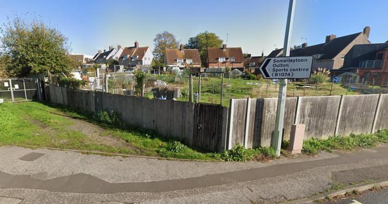 Pet Chihuahua mauled to death by larger dogs on allotments