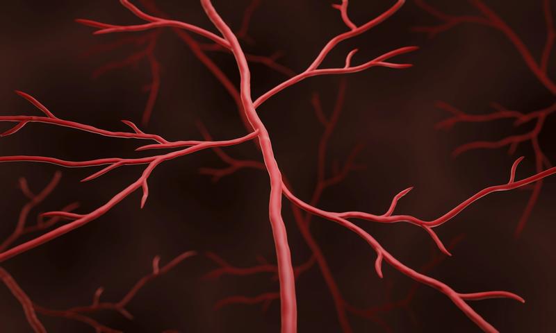 Muscle weakness in cancer survivors may be caused by treatable weakness in blood vessels – new research