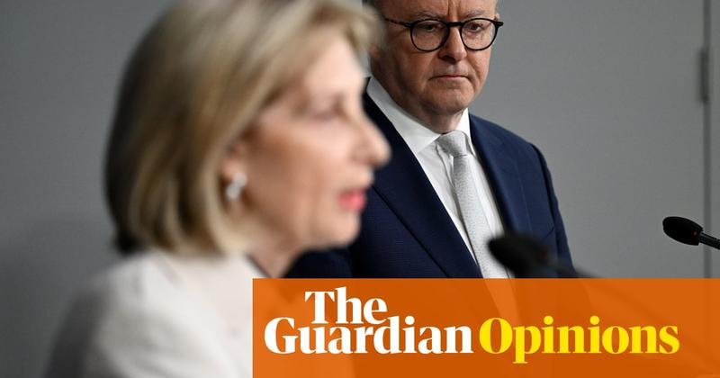 Albanese must be careful that tackling antisemitism doesn’t curb free speech