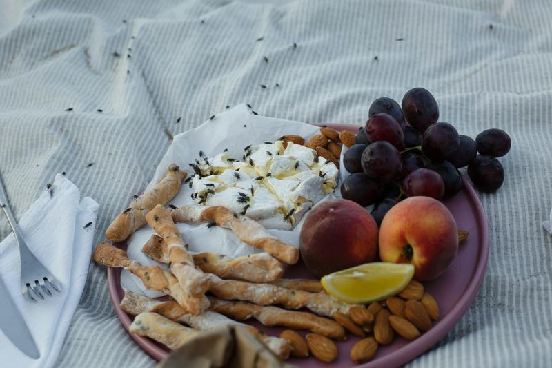 Don’t let food poisoning crash your picnic – six tips to keep your spread safe