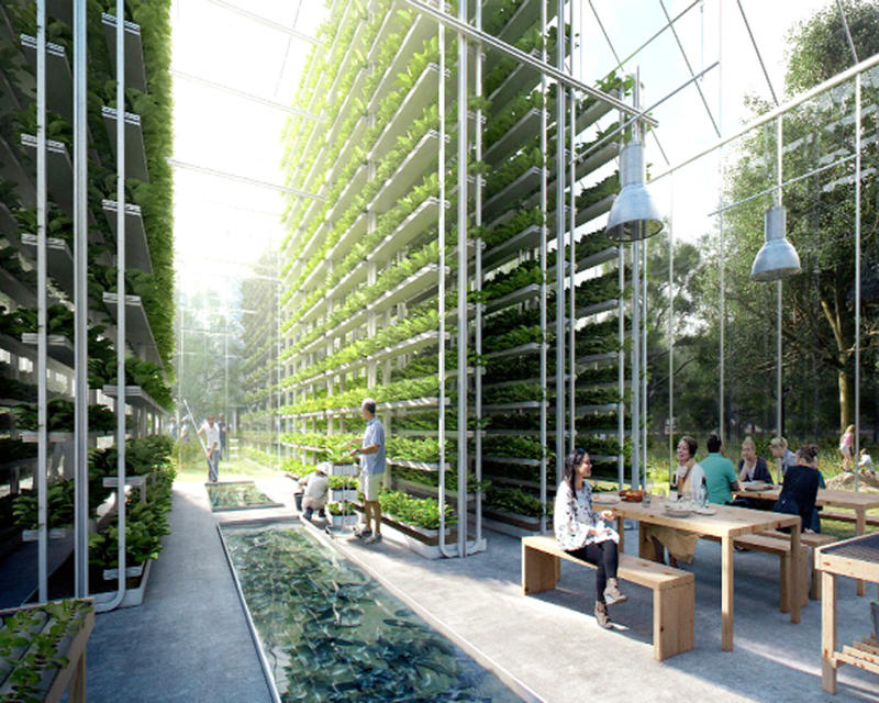 The Promise and Challenge of Vertical Farming in India
