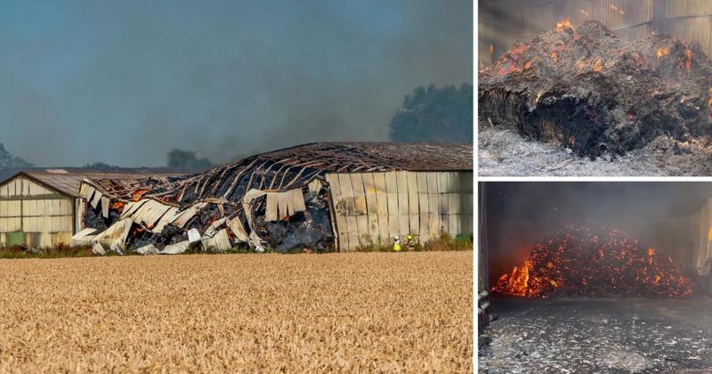 'Large and complex' blaze rips through barns at farm