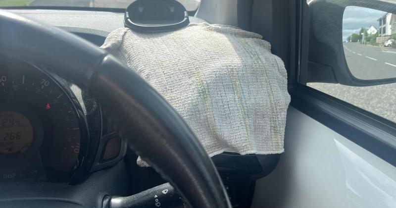 I tried this free hack for cooling down cars during heatwave