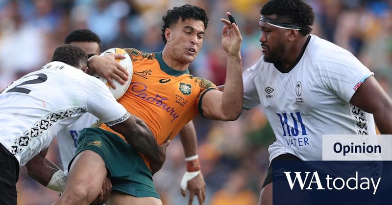 Unless the Wallabies were playing possum, Lions may be in for a feast