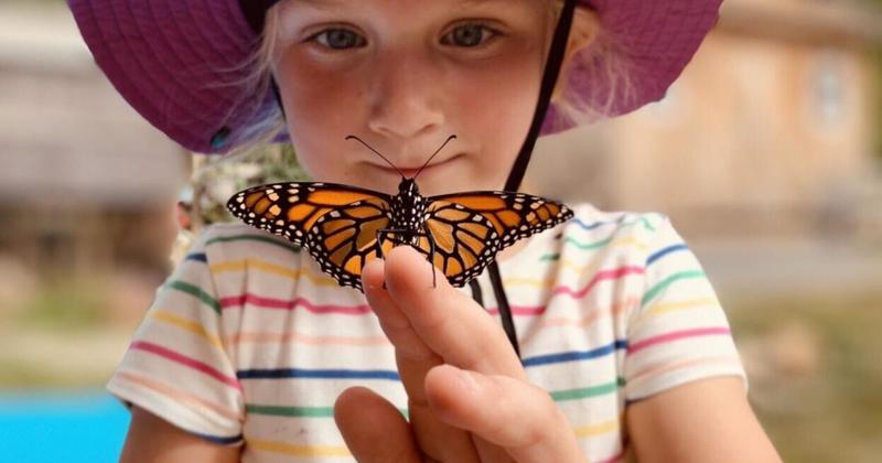 ‘The Wild Path Home: A Guide to Raising the Earth Stewards of Tomorrow’