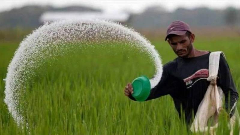 China is using fertiliser as a weapon. And Modi government has shown little urgency to help farmers
