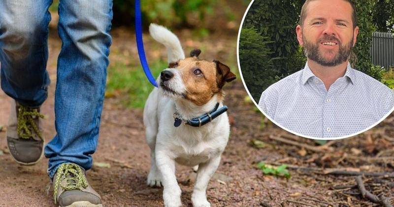 New bans on dogs in children's play areas agreed by councillors