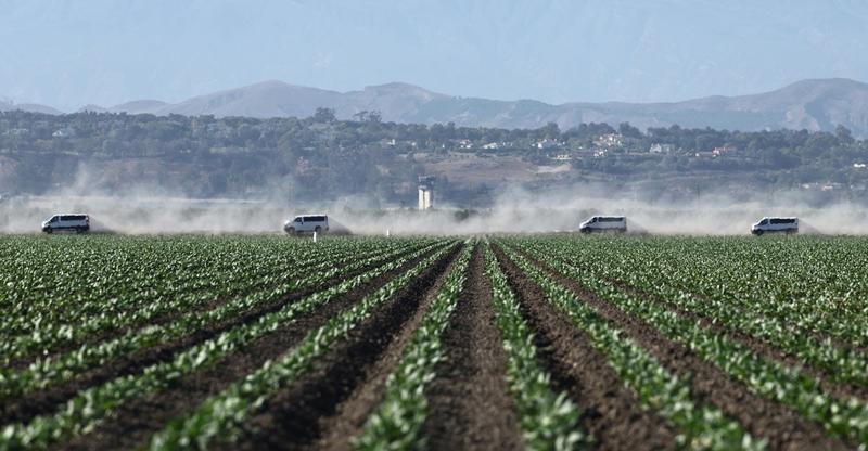 10 Unaccompanied Migrant Children Found at Marijuana Grow Sites