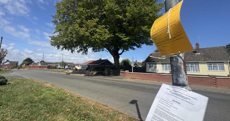 'Harmful' plans to reduce tree height rejected as homeowner tries to sell property