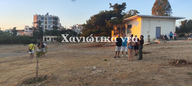 Για τα «αυθαίρετα» δεντράκια