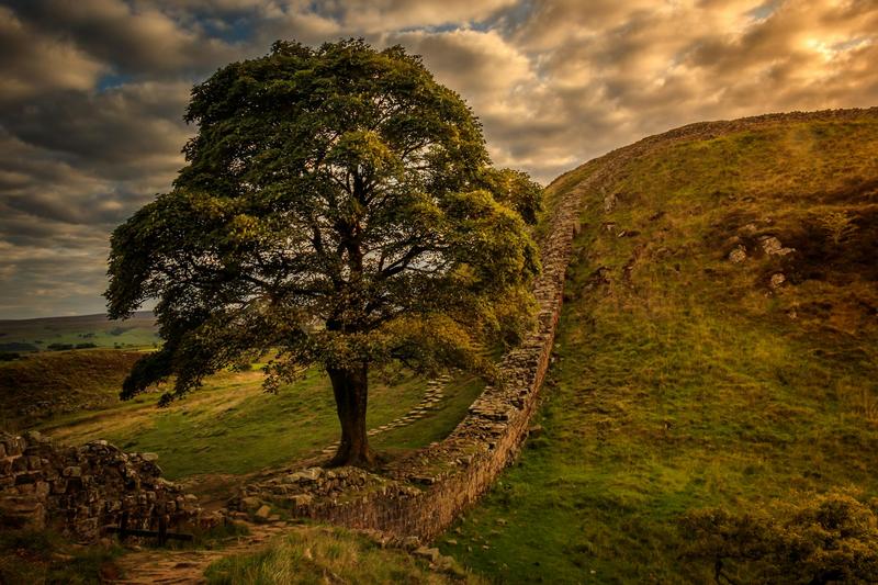 Why the Sycamore Gap tree provoked such strong emotional reactions – a psychologist explains