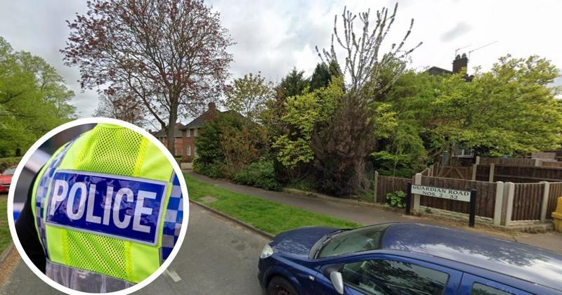 Two men arrested for burglary and fraud