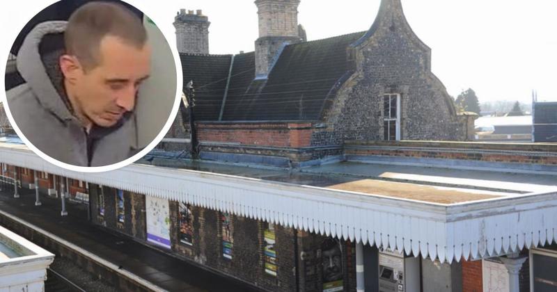 Predator sexually assaulted man six times while he slept on railway station bench