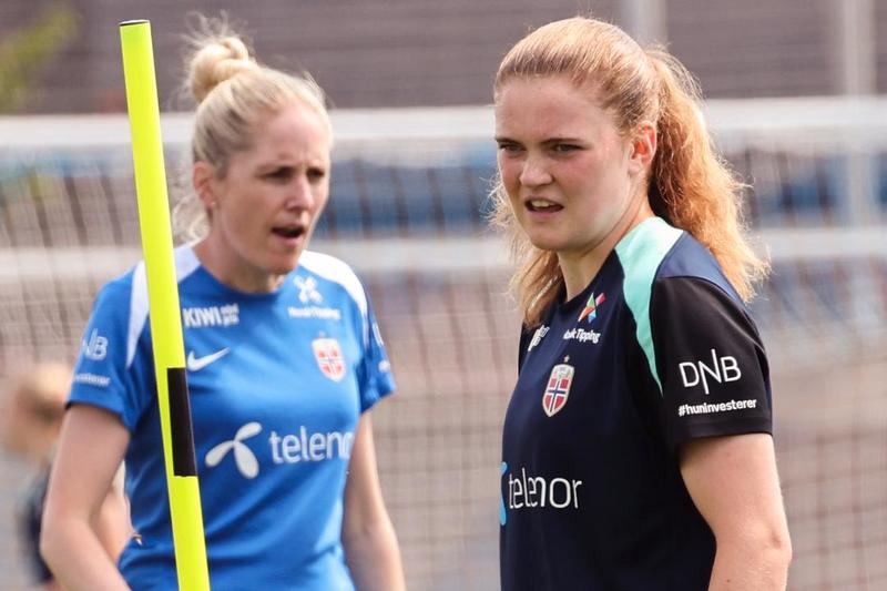Gåten Gaupset – hvorfor tok det så lang tid?