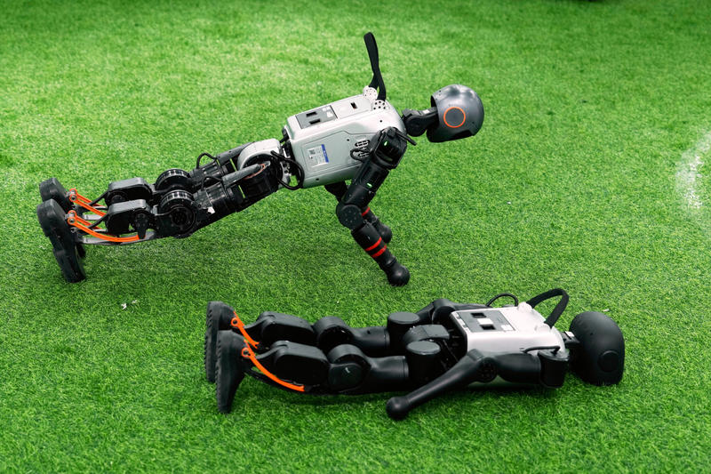 Künstliche Intelligenz ist als «Freund» untauglich