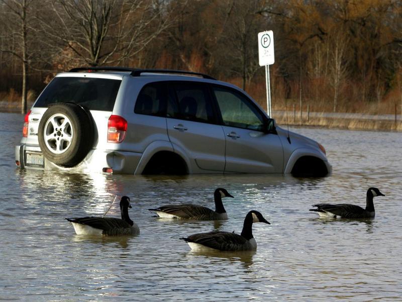 Opinion: Car insurance rules may hurt the drivers they’re meant to protect