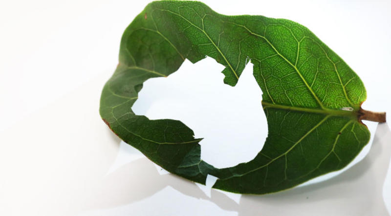 Our last, best chance – national environment laws that protect nature and power the net zero economy