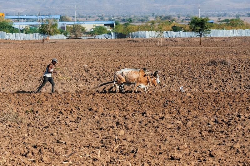 Dans les pays du Sud, une protection sociale écologique pour faire face aux conséquences du changement climatique