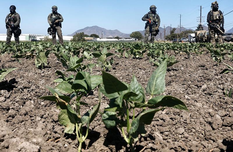 Trump Admin’s Focus on Child Labor After California Raids Is a Bait and Switch